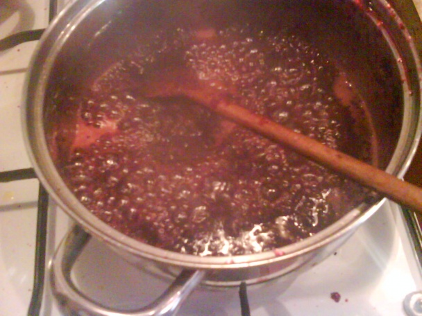 Džem i lekvár z čerešní (fotorecept) - obrázok 10