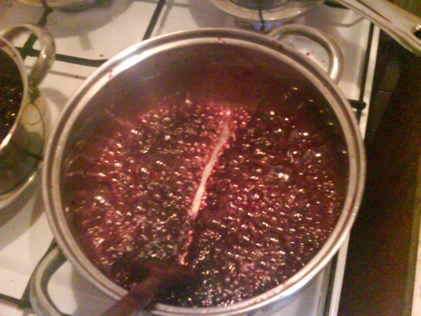 Džem i lekvár z čerešní (fotorecept) - obrázok 12