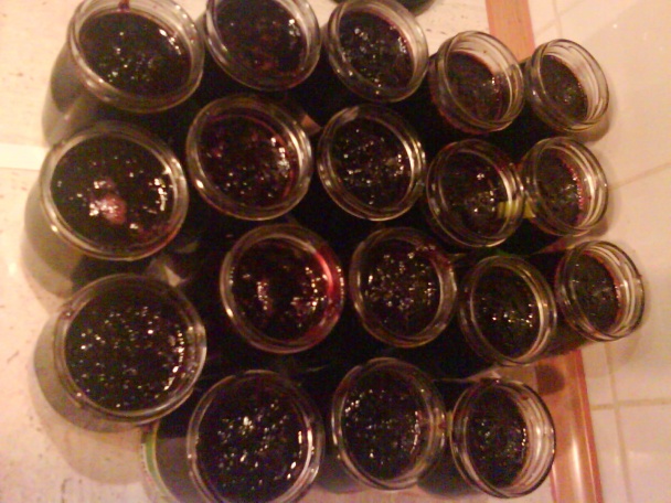 Džem i lekvár z čerešní (fotorecept) - obrázok 13