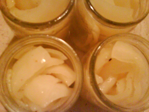 Paprika v oleji (fotorecept) - obrázok 5