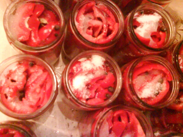 Zaváraná kápia (fotorecept) - obrázok 2