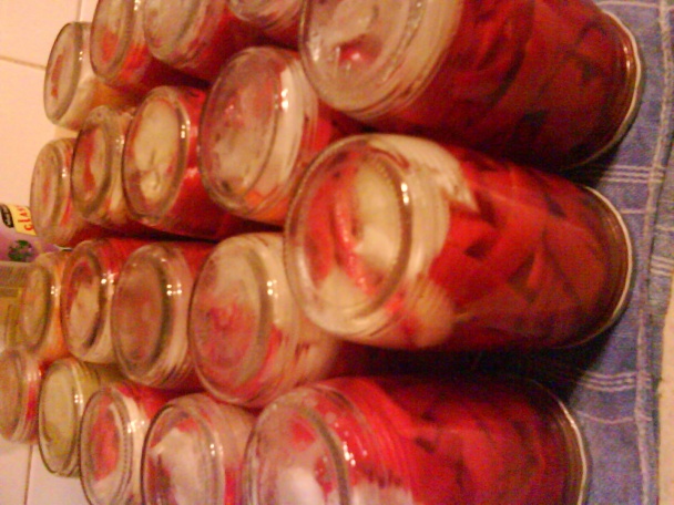 Zaváraná kápia (fotorecept) - obrázok 6