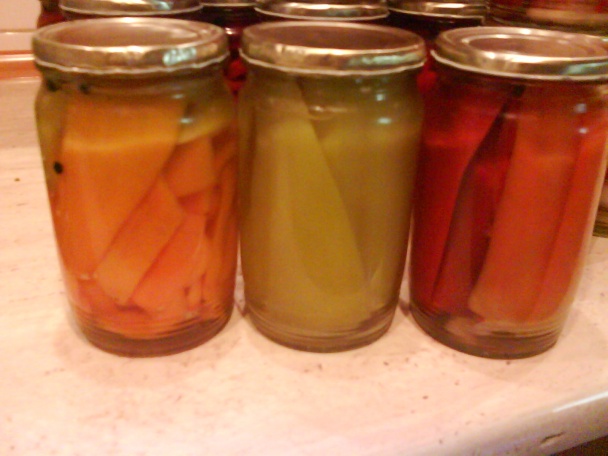 Zaváraná kápia (fotorecept) - obrázok 7