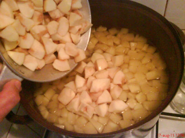 Varený cuketový kompót s jablkami (fotorecept) - obrázok 5