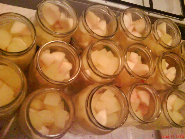 Varený cuketový kompót s jablkami (fotorecept) - obrázok 7