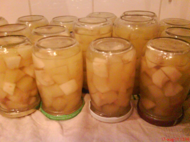 Varený cuketový kompót s jablkami (fotorecept) - obrázok 8