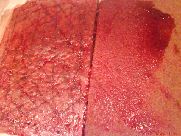 Sviatočné katarínské rezy (fotorecept) - obrázok 10