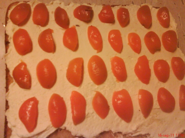 Karamelové rezy s ovocím a šľahačkou (fotorecept) - obrázok 12