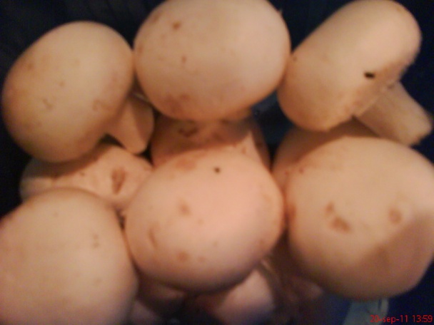 Papcún z hubami a škvarkami (fotorecept) - obrázok 2