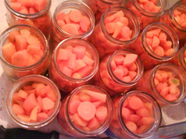 Mrkva sterilizovaná na slano (fotorecept) - obrázok 5