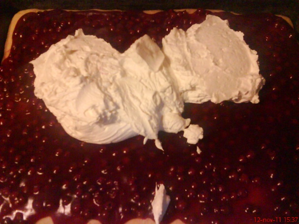 Rezy - ríbezľová indiánka (fotorecept) - obrázok 9