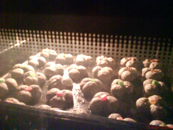 Makové kvietky (fotorecept) - obrázok 6