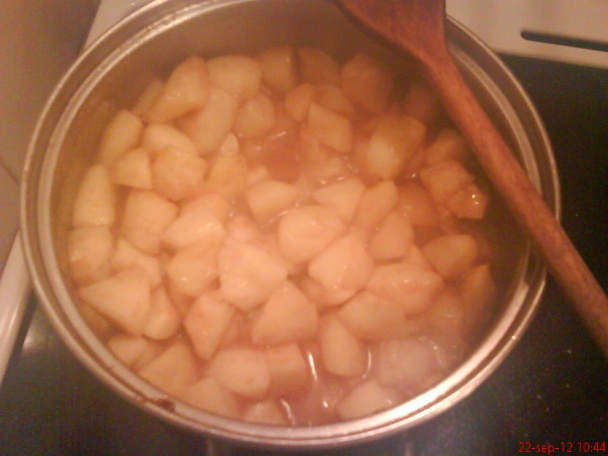 Jablkové palacinky (fotorecept) - obrázok 4