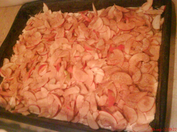 Jablkový koláč s dvojakého cesta (fotorecept) - obrázok 5