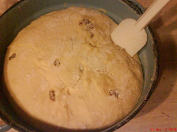 Dvojfarebný pletenec (fotorecept) - obrázok 1