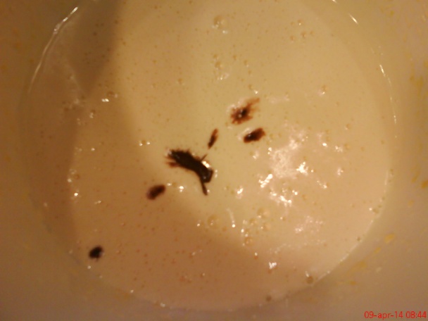 Tvarohovo-čokoládový prevrátený koláč (fotorecept) - obrázok 2