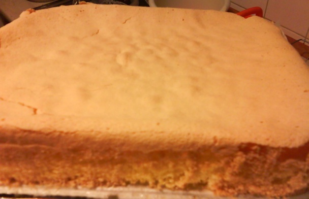 Korpus na tortu bez oddeľovania vajec (fotorecept) - obrázok 8