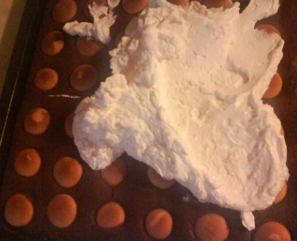 Čokoládové kocky s piškótou (fotorecept) - obrázok 9