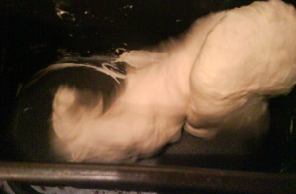 Koláč Angelína (fotorecept) - obrázok 1