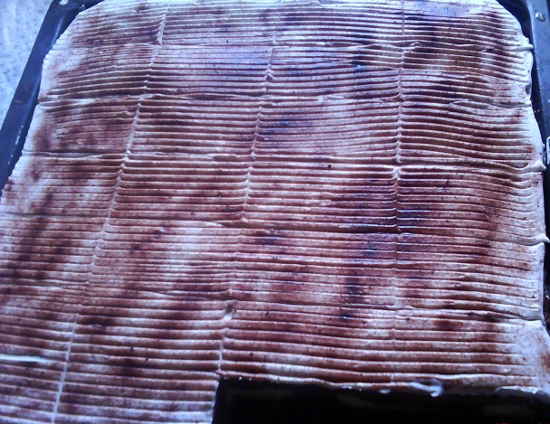 Zhlavové rezy (fotorecept) - obrázok 12