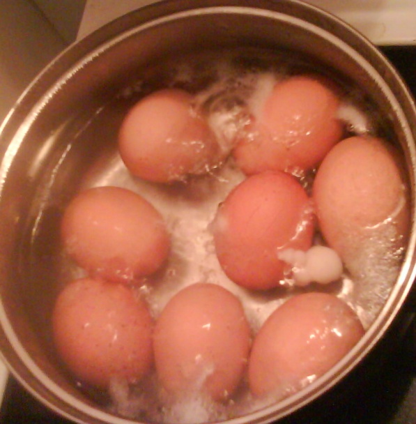 Huspenina (fotorecept) - obrázok 2