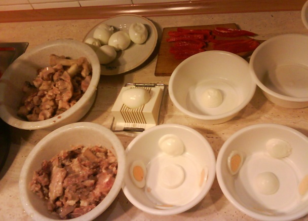 Huspenina (fotorecept) - obrázok 3