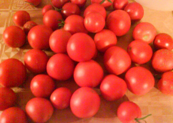 Sušené paradajky naložené v oleji (fotorecept) - obrázok 1