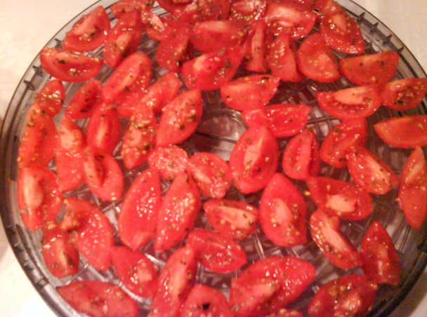 Sušené paradajky naložené v oleji (fotorecept) - obrázok 6