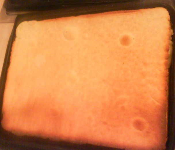 Zákusok Štedrák (fotorecept) - obrázok 11