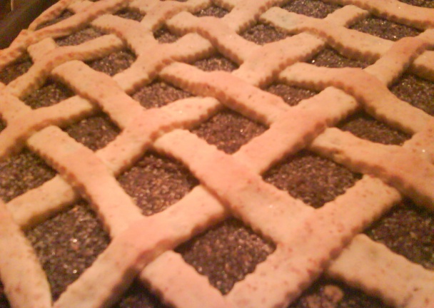 Makovník zo zemiakového cesta (fotorecept) - obrázok 9