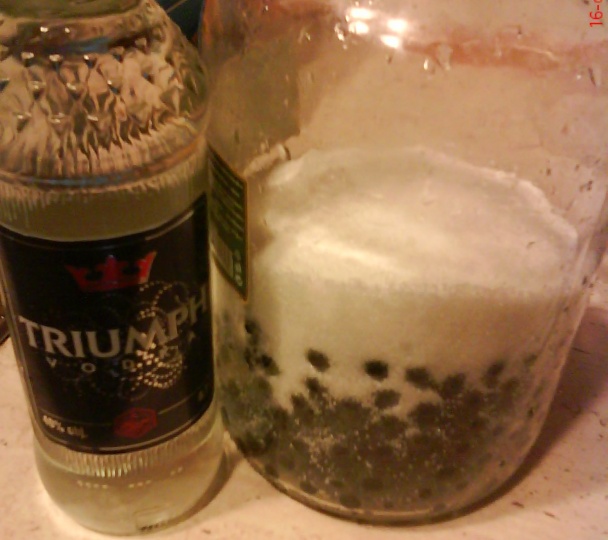 Trnkový likér (fotorecept) - obrázok 3