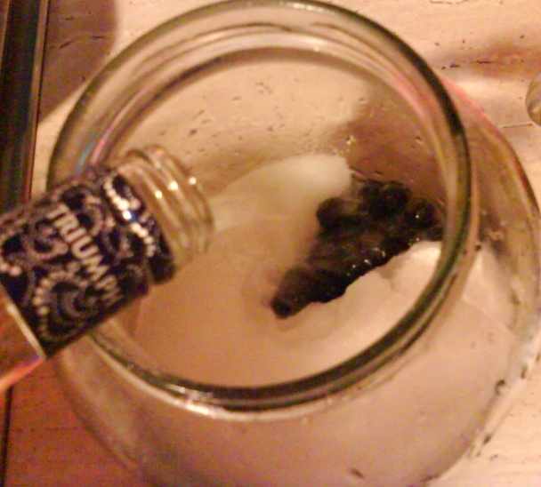 Trnkový likér (fotorecept) - obrázok 4