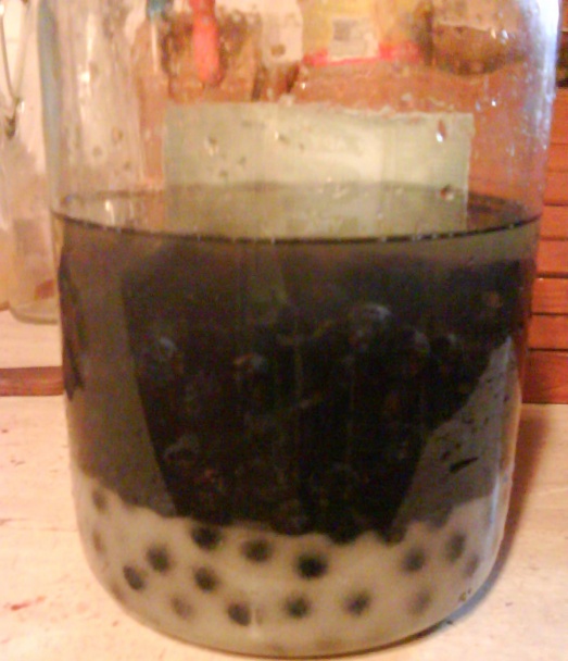 Trnkový likér (fotorecept) - obrázok 5