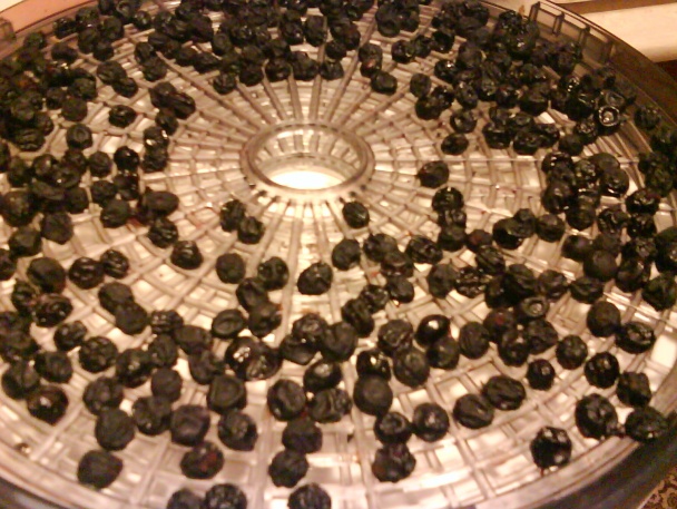 Trnkový likér (fotorecept) - obrázok 6