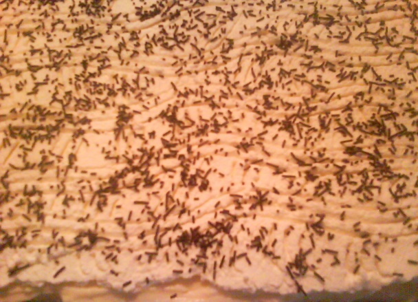 Jahodové rezy (fotorecept) - obrázok 8