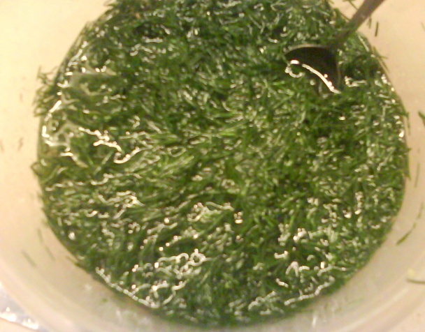 Kôpor naložený v oleji (fotorecept) - obrázok 8