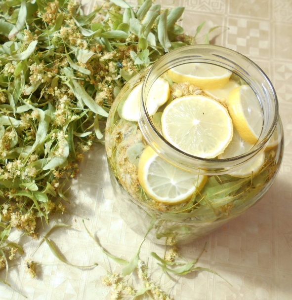 Lipový sirup (fotorecept) - obrázok 1