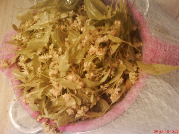 Lipový sirup (fotorecept) - obrázok 2