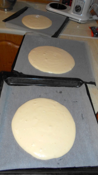 Sunquickové rezy (fotorecept) - obrázok 2