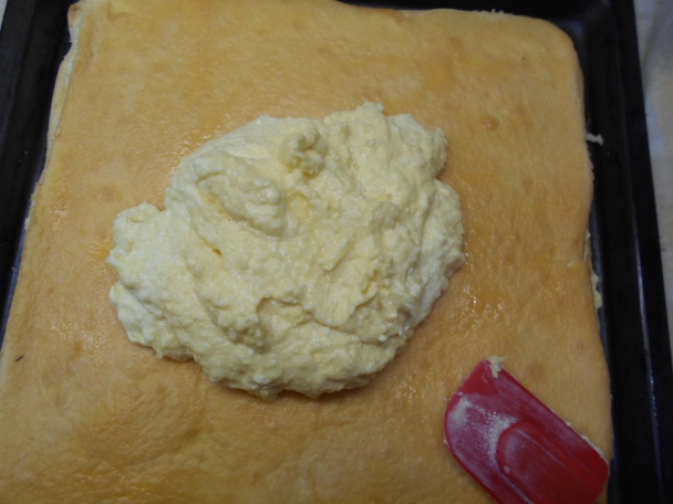 Sunquickové rezy (fotorecept) - obrázok 5