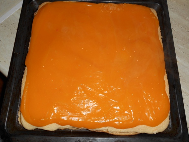 Sunquickové rezy (fotorecept) - obrázok 7