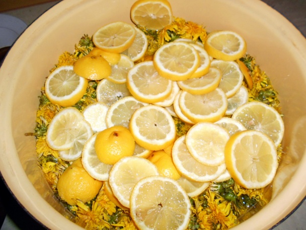 Sirup z kvetov púpavy (fotorecept) - obrázok 3