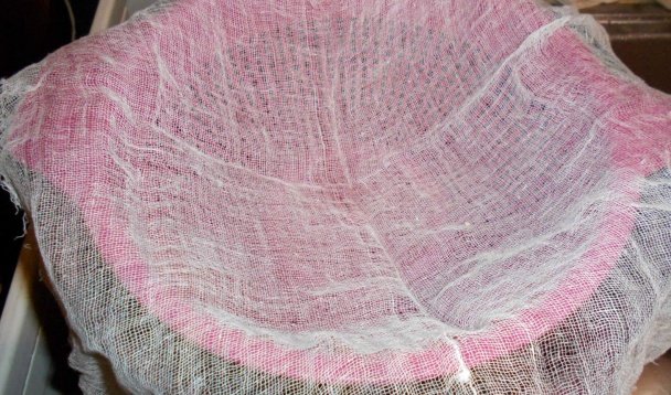 Sirup z kvetov púpavy (fotorecept) - obrázok 4