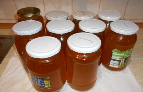 Sirup z kvetov púpavy (fotorecept) - obrázok 8