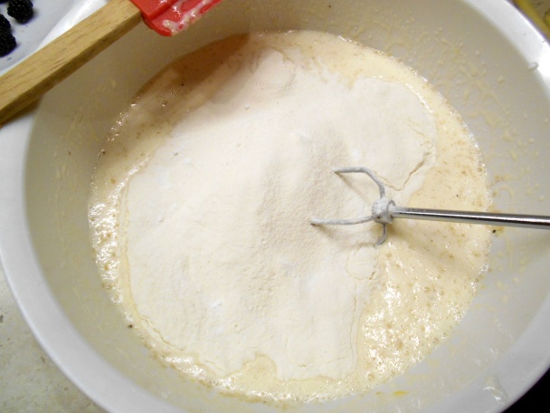 Bielomakovec s černicami (fotorecept) - obrázok 5