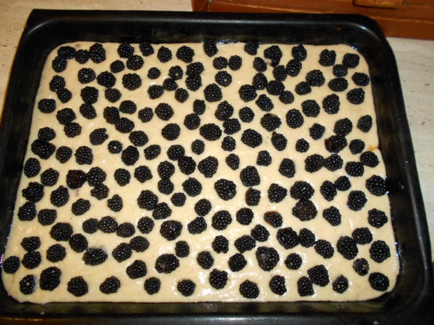 Bielomakovec s černicami (fotorecept) - obrázok 6