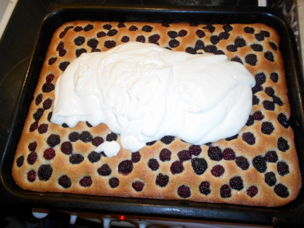 Bielomakovec s černicami (fotorecept) - obrázok 8