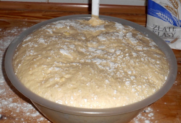 Jednoduché cesto na domácu pizzu (fotorecept) - obrázok 2