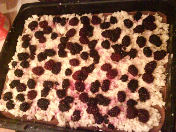 Tvarohový mriežkový koláč s černicami (fotorecept) - obrázok 5