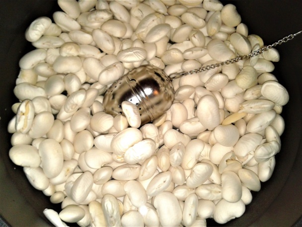 Furmanská fazuľa (fotorecept)  - obrázok 1